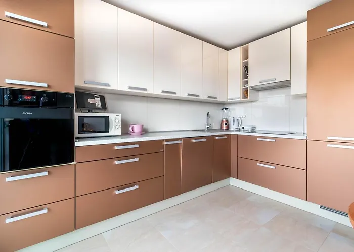 Jan 2+2 With Balcony 普拉